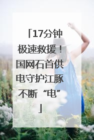 17分钟极速救援！国网石首供电守护江豚不断“电”