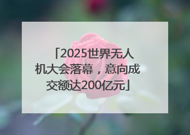 2025世界无人机大会落幕，意向成交额达200亿元
