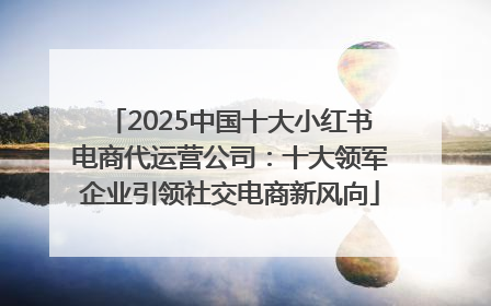 2025中国十大小红书电商代运营公司：十大领军企业引领社交电商新风向