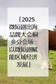 2025微短剧出海品牌大会桐乡分会场：以微短剧赋能区域经济发展