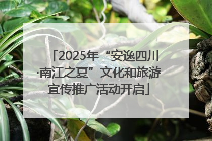2025年“安逸四川·南江之夏”文化和旅游宣传推广活动开启