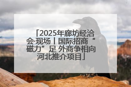 2025年廊坊经洽会·现场丨国际招商“磁力”足 外商争相向河北推介项目