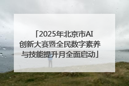 2025年北京市AI创新大赛暨全民数字素养与技能提升月全面启动
