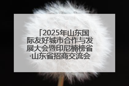 2025年山东国际友好城市合作与发展大会暨印尼楠榜省·山东省招商交流会在济南槐荫举行
