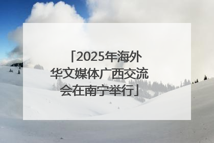 2025年海外华文媒体广西交流会在南宁举行