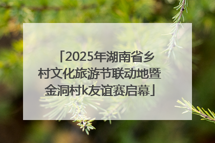 2025年湖南省乡村文化旅游节联动地暨金洞村k友谊赛启幕