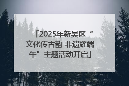 2025年新吴区“文化传古韵 非遗耀端午”主题活动开启
