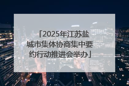 2025年江苏盐城市集体协商集中要约行动推进会举办