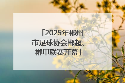 2025年郴州市足球协会郴超、郴甲联赛开幕