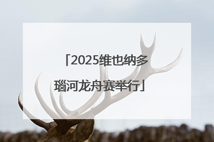 2025维也纳多瑙河龙舟赛举行
