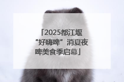 2025都江堰“好嗨啤”消夏夜啤美食季启幕