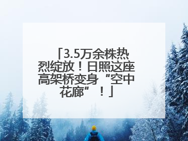 3.5万余株热烈绽放！日照这座高架桥变身“空中花廊”！