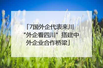 7国外企代表来川 “外企看四川”搭建中外企业合作桥梁