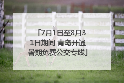 7月1日至8月31日期间 青岛开通暑期免费公交专线