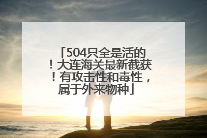 504只全是活的！大连海关最新截获！有攻击性和毒性，属于外来物种