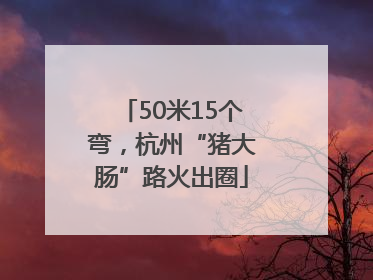 50米15个弯，杭州“猪大肠”路火出圈
