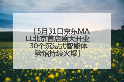 5月31日京东MALL北京首店盛大开业 30个沉浸式智能体验馆持续火爆