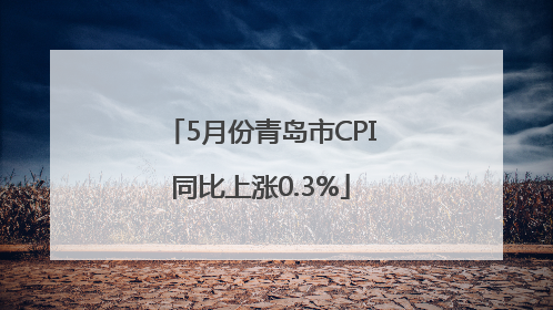 5月份青岛市CPI同比上涨0.3%