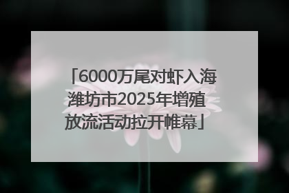 6000万尾对虾入海 潍坊市2025年增殖放流活动拉开帷幕