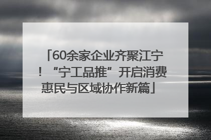 60余家企业齐聚江宁！“宁工品推”开启消费惠民与区域协作新篇