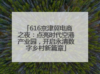 616京津冀电商之夜：点亮时代空港产业园，开启永清数字乡村新篇章
