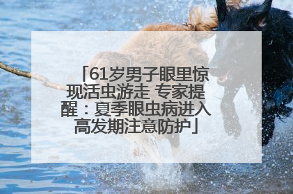 61岁男子眼里惊现活虫游走 专家提醒：夏季眼虫病进入高发期注意防护