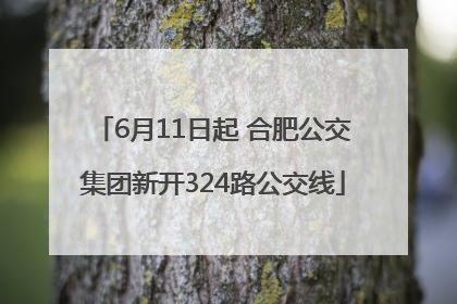 6月11日起 合肥公交集团新开324路公交线