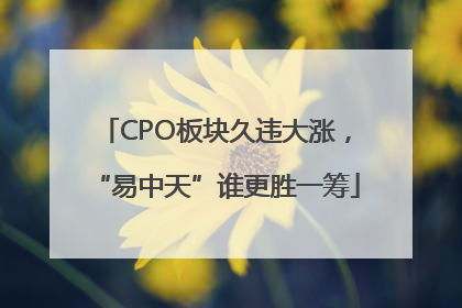 CPO板块久违大涨，“易中天”谁更胜一筹