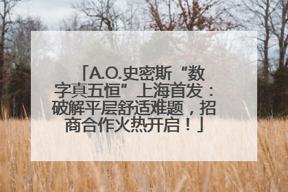 A.O.史密斯“数字真五恒”上海首发：破解平层舒适难题，招商合作火热开启！