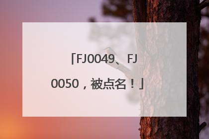FJ0049、FJ0050，被点名！