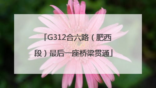 G312合六路（肥西段）最后一座桥梁贯通