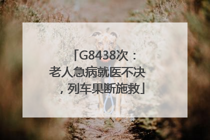 G8438次：老人急病就医不决，列车果断施救