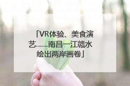 VR体验、美食演艺……南昌一江赣水绘出两岸画卷